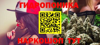 мяу мяу мука Лесосибирск