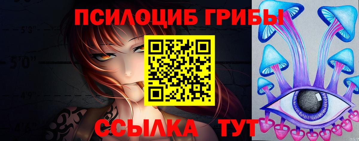 хочу наркоту  Псилоцибиновые грибы GOLDEN TEACHER  Вход с VPN  Жуковский  Галлюциногенные грибы Cubensis 
