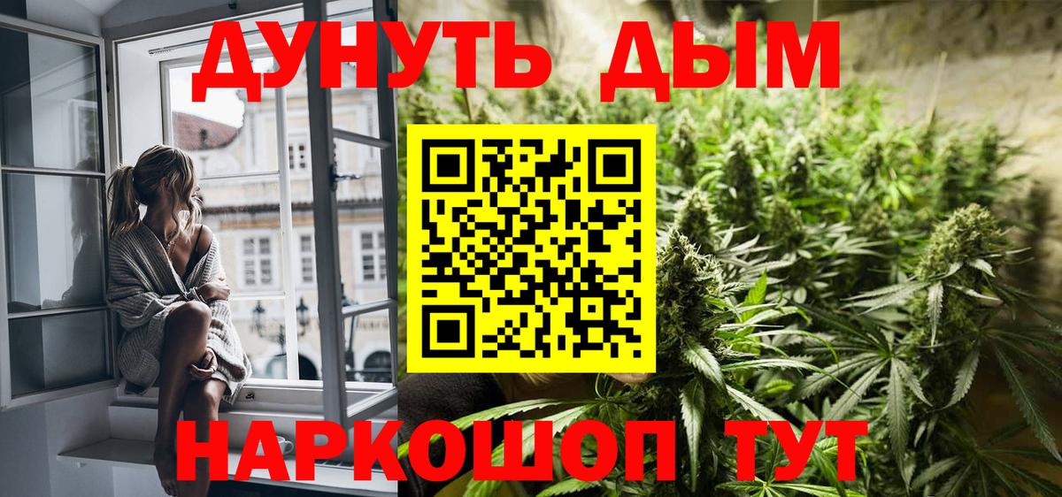 Каннабис MAZAR Жуковский